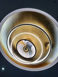 -紫洁俪方（北京）医疗美容