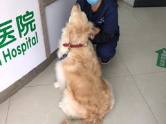 -爱侣宠医·鹦鹉专科·小型哺乳类·异宠专科(灵石路店)