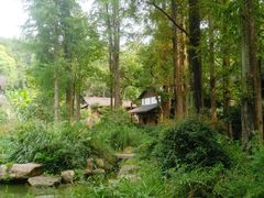 -杭州植物园