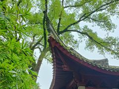 -天一阁博物院