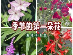 -钱塘江