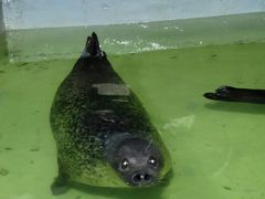 -南昌海洋公园