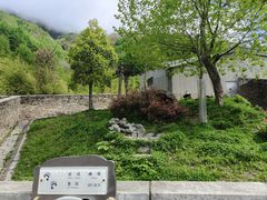 -卧龙中华大熊猫苑神树坪基地