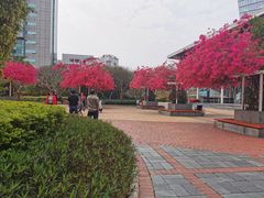 -深圳海景嘉途酒店(东翼楼)