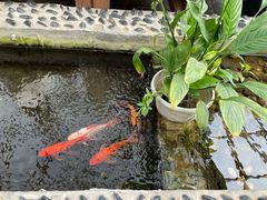 -丽江庭院之爱在路上(西单店)
