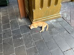 -迪拜黄金市场