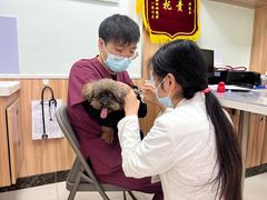 -瑞鹏宠物医院·内科·中兽医·骨科(苗圃店)