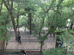 -上海佘山国家森林公园西佘山园