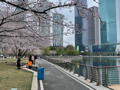 -西北湖绿化广场