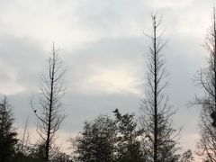 -1点点(苏州中心店)