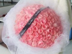 -花鸟鱼虫鲜花绿植市场(玉泉路店)