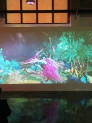 -恐龙探索乐园(磁器口店)