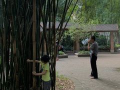 -晓港公园