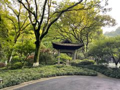 -杭州花家山庄