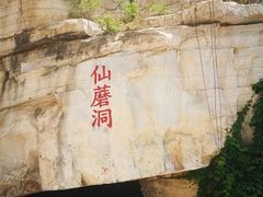 -仙蘑洞