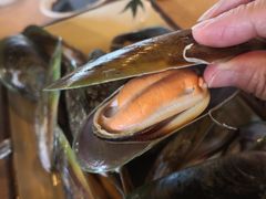-崖口红树林海鲜餐厅