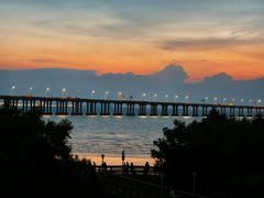 -宝安西湾红树林湿地公园