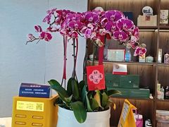 -海泰食府·新鲁菜·家宴(总部基地店)