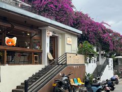 -LOOKA COFFEE(大鹏所城店)