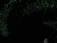 -小仙女采耳·按摩·SPA(深圳旗舰店)