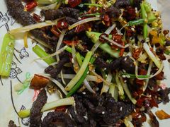 干煸牛肉丝-清真双宝红油牛系列