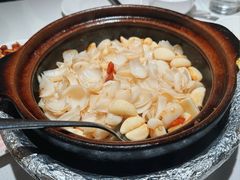 啫啫五年鲜百合-煲煲好(朝阳门店)