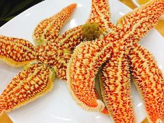 -海岛渔村大酒店(云霄路店)