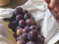 -马陆小张葡萄园农家乐