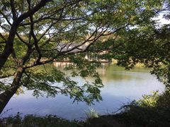 -白马涧龙池景区
