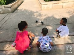 -陕西自然博物馆