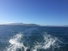 -斐济双桅帆船外岛一日游 浮潜 海钓 Tinhao号