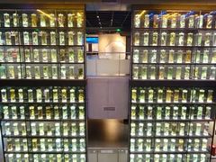 -广东中医药博物馆