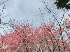 -堤角公园