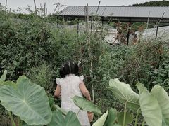-大连北马山庄