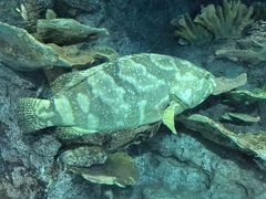 -福州罗源湾海洋世界旅游区