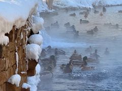 -水磨沟公园