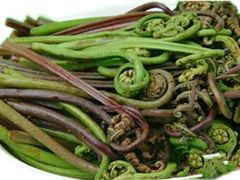蕨菜-源泉冷水鱼庄(小鱼洞店)