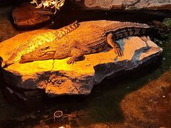 -泉城欧乐堡海洋极地世界