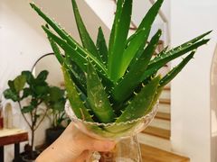 -森野花艺培训·企业团建活动沙龙