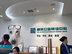 -美联众合动物医院·24h转诊中心