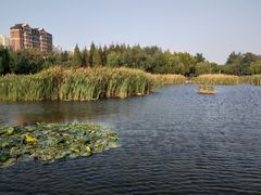 -前关湿地公园