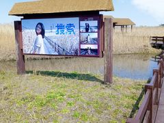 -宁波杭州湾国家湿地公园