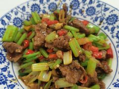 野山椒牛肉丝-新新湘菜馆(新中街二条店)