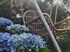 -丝绸小镇荻港古村