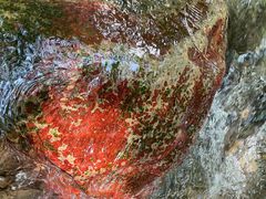 -黑河国家森林公园