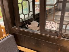 -猫的天空之城概念书店(杭州南宋御街店)