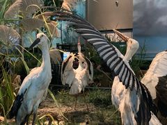 -中国湿地博物馆