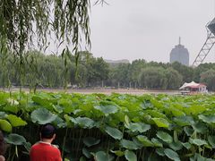 -裕华世纪公园