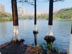 -重庆彩云湖湿地公园