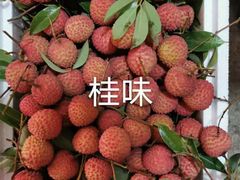 -鹏城八珍深圳特产手信(罗湖店)